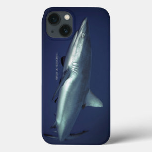 Grijze rifhaai in Yap Micronesië iPhone 13 Hoesje