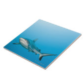 Grijze rifhaaien (Carcharhinus amblyrhnchos) Tegeltje (Zijkant)