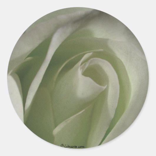 Grijze Roos sticker Wedding Envelope Seal (Voorkant)