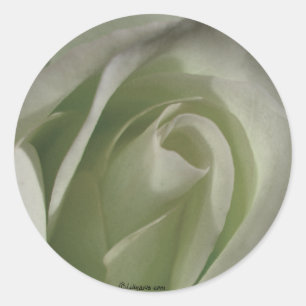 Grijze Roos sticker Wedding Envelope Seal