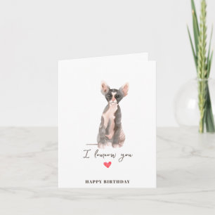 Grijze Roze Sphynx Kat Hart Hondje Huisdieren Verj Kaart