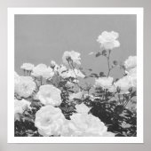 Grijze Rozen Bloementuin Foto Kunstprint Poster (Voorkant)