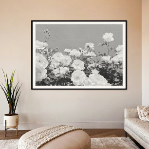 Grijze Rozen Bloementuin Foto Kunstprint Poster