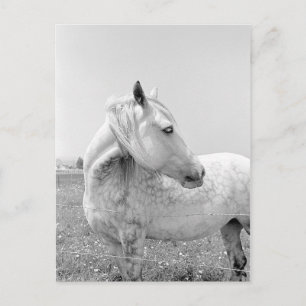 Grijze schilfers op pasta briefkaart