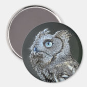 Grijze Screech Uil Magneet (Voorkant / Achterkant)