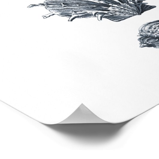 Grijze seizoenshellen strandafdruk #8 poster (Hoek)