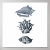 Grijze seizoenshellen strandafdruk #8 poster (Voorkant)