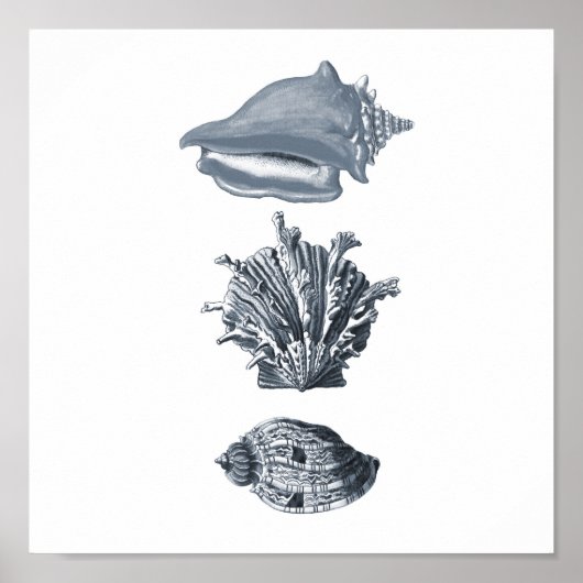 Grijze seizoenshellen strandafdruk #8 poster (Voorkant)