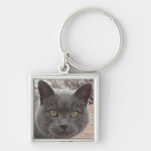 Grijze sleutelhanger kattendak (Voorkant)