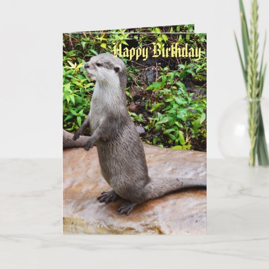 Grijze Staande Otter Gefeliciteerd Kaart (Voorkant)