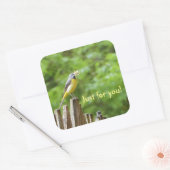 Grijze staart vierkante sticker (Envelop)