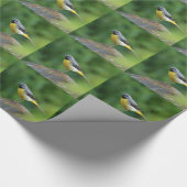 Grijze staart - vogel cadeaupapier (Hoek)