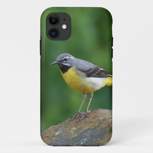 Grijze staart - vogel Case-Mate iPhone case (Achterkant)