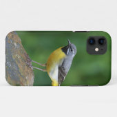 Grijze staart - vogel Case-Mate iPhone case (Achterkant (horizontaal))