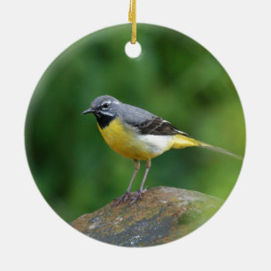 Grijze staart - vogel keramisch ornament