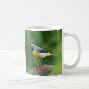 Grijze staart - vogel koffiemok