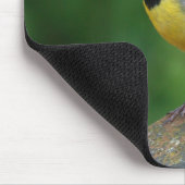 Grijze staart - vogel muismat (Hoek)