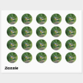 Grijze staart - vogel ronde sticker (Vel)