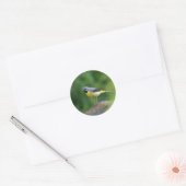 Grijze staart - vogel ronde sticker (Envelop)