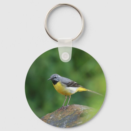 Grijze staart - vogel sleutelhanger (Voorkant)