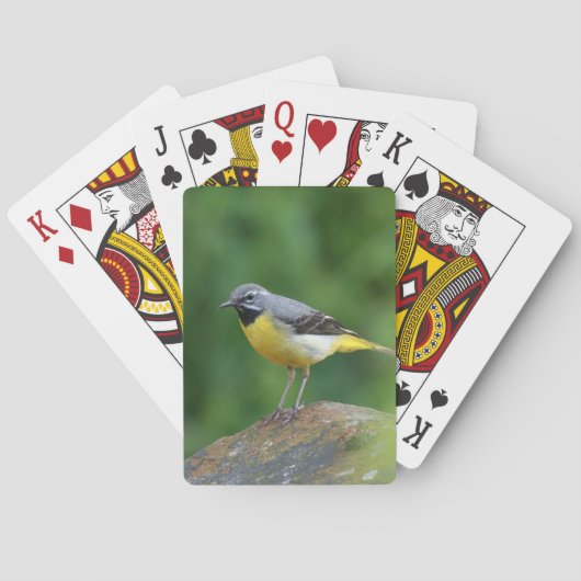 Grijze staart - vogel speelkaarten (Achterkant)
