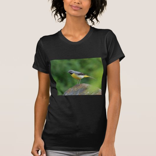 Grijze staart - vogel t-shirt (Voorkant)