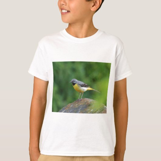 Grijze staart - vogel t-shirt (Voorkant)