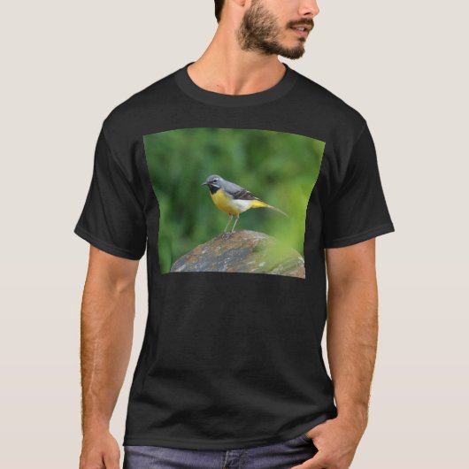 Grijze staart - vogel t-shirt (Voorkant)