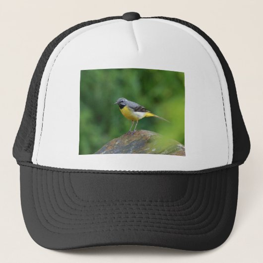 Grijze staart - vogel trucker pet (Voorkant)