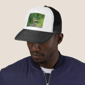 Grijze staart - vogel trucker pet (In situ)