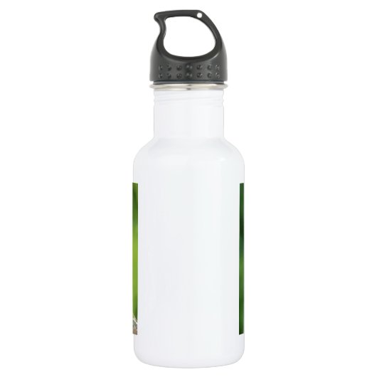 Grijze staart - vogel waterfles  (Achterkant)