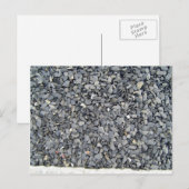 Grijze staarten briefkaart (Voorkant / Achterkant)