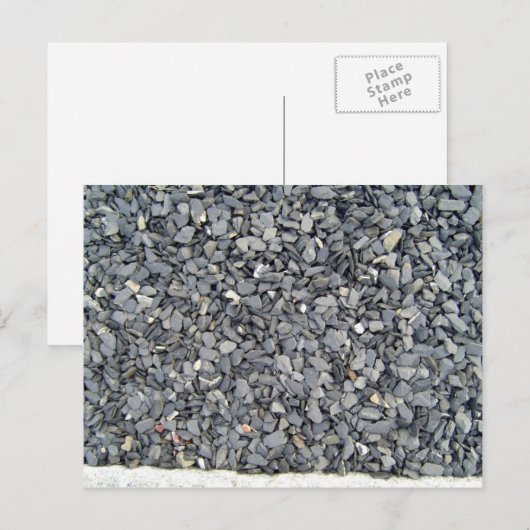 Grijze staarten briefkaart (Voorkant / Achterkant)