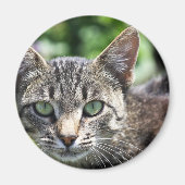 Grijze stripper met groene ogen magneet (Voorkant)