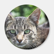 Grijze stripper met groene ogen