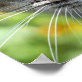 Grijze stripper met groene ogen poster (Hoek)