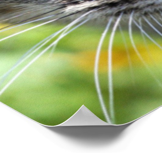 Grijze stripper met groene ogen poster (Hoek)