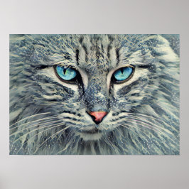 Grijze Tabby Cat-Blue-ogen Poster
