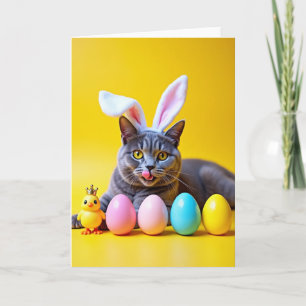 Grijze Tabby Gele Scènekaart Kaart