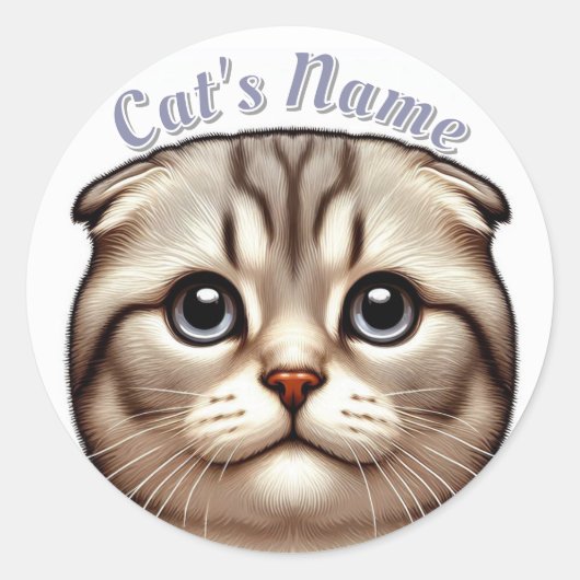 grijze tabby gevouwen oren kat · Gepersonaliseerd Ronde Sticker (Voorkant)