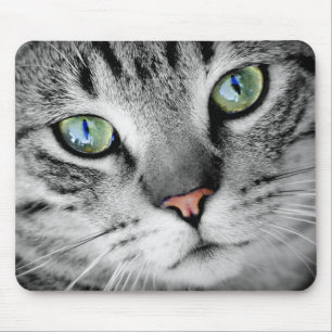 Grijze Tabby Groene Ogen Close-up Muismat