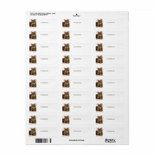 Grijze tabby kat adresetiketten etiket