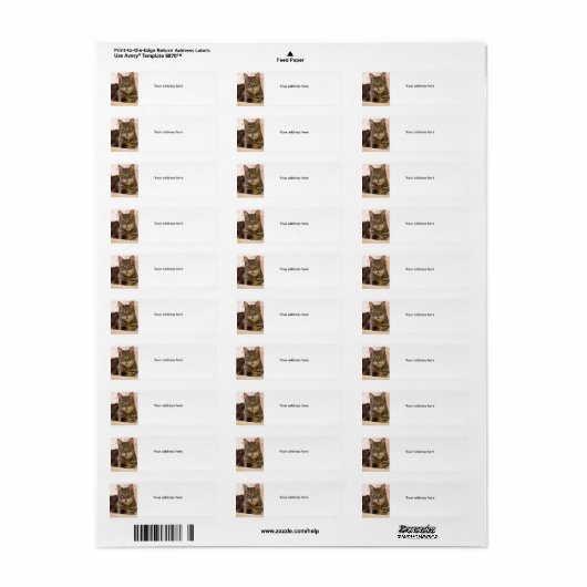 Grijze tabby kat adresetiketten etiket (Full Sheet)