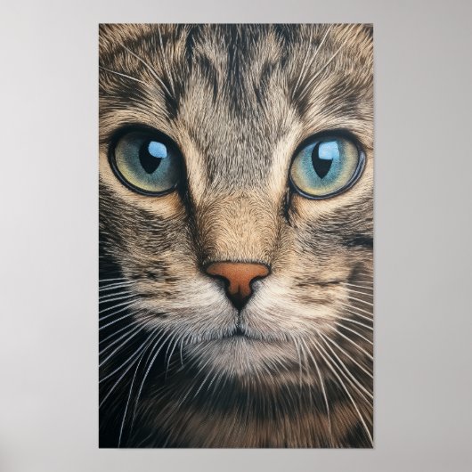 Grijze tabby kat close-up poster (Voorkant)