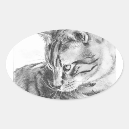 Grijze Tabby kat geschetst in houtskool Ovale Sticker (Voorkant)