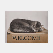 Grijze Tabby Kat Slapen Op Doos Welkom Deurmat (Voorkant)