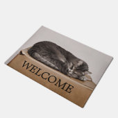 Grijze Tabby Kat Slapen Op Doos Welkom Deurmat (Schuin)