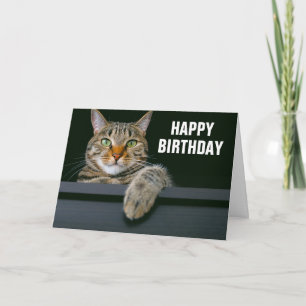 Grijze Tabby Kattengezicht   Gelukkige Verjaardag Kaart