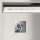 Grijze Tabby Kitten Magnet (Insitu (Vaatwasser))