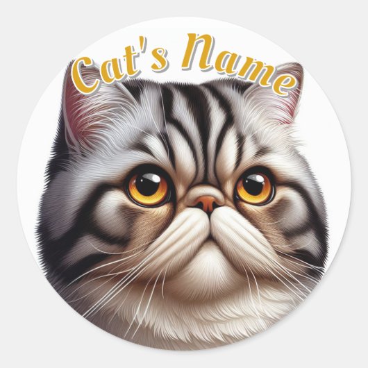 grijze tabby Perzische kat · Gepersonaliseerd Ronde Sticker (Voorkant)